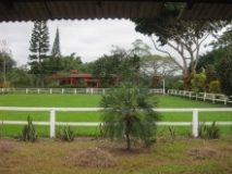 Imagen Hacienda Jambelí 